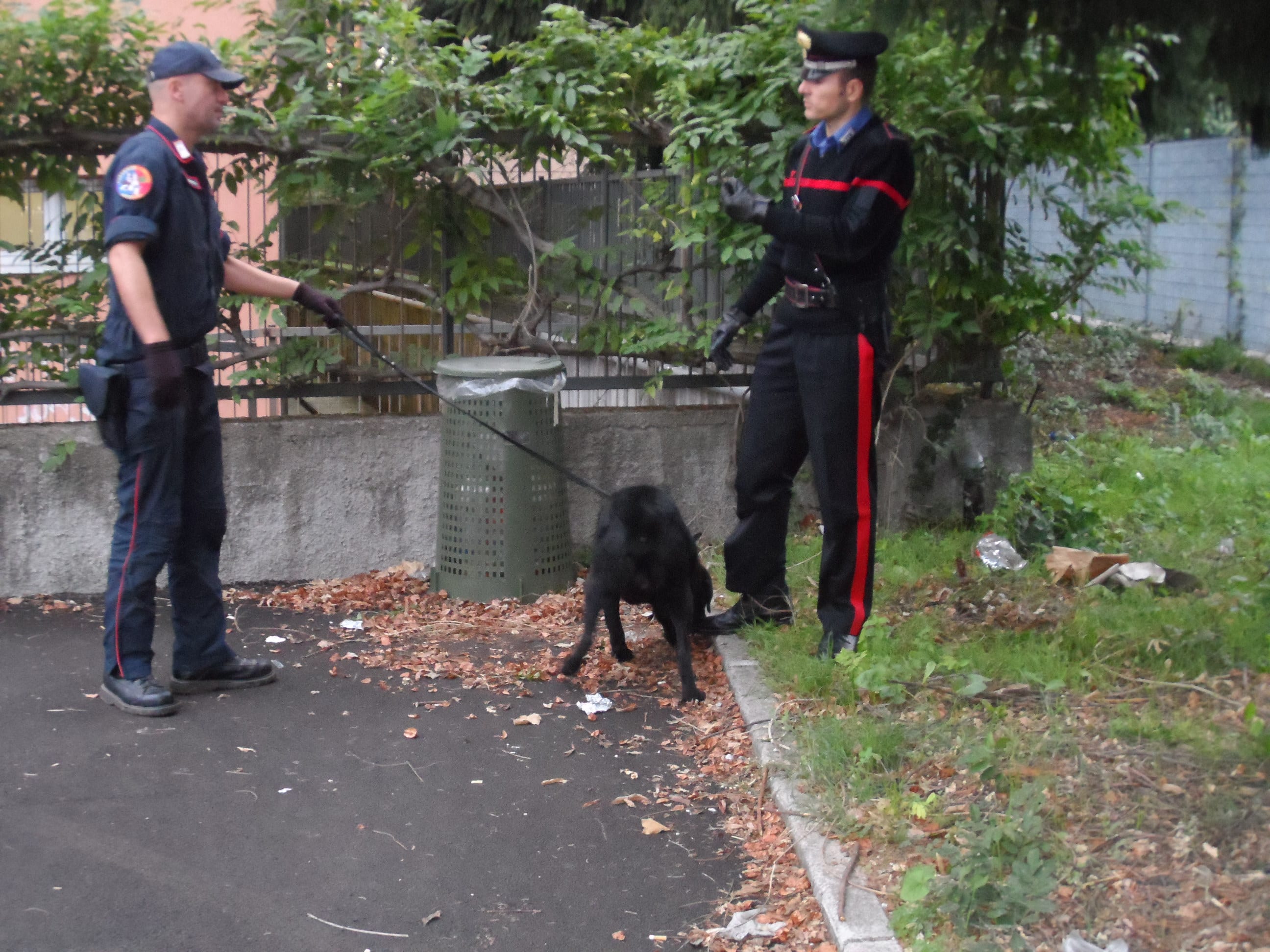 Nel bosco in cerca di droga… trovano i carabinieri ad aspettarli