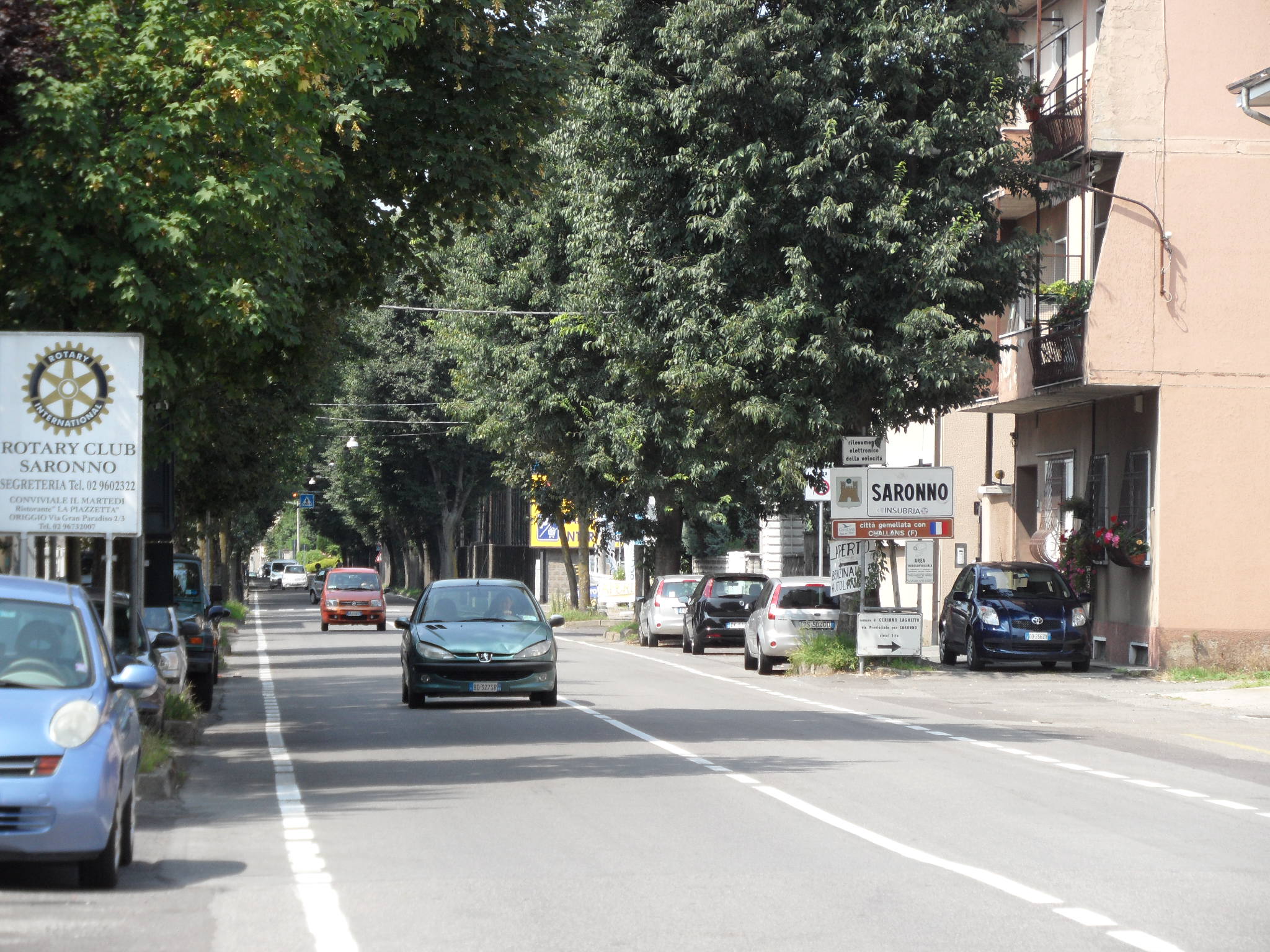 Caos via Roma, Fiab: “Per una ciclabile sicura, non serve tagliare gli alberi”