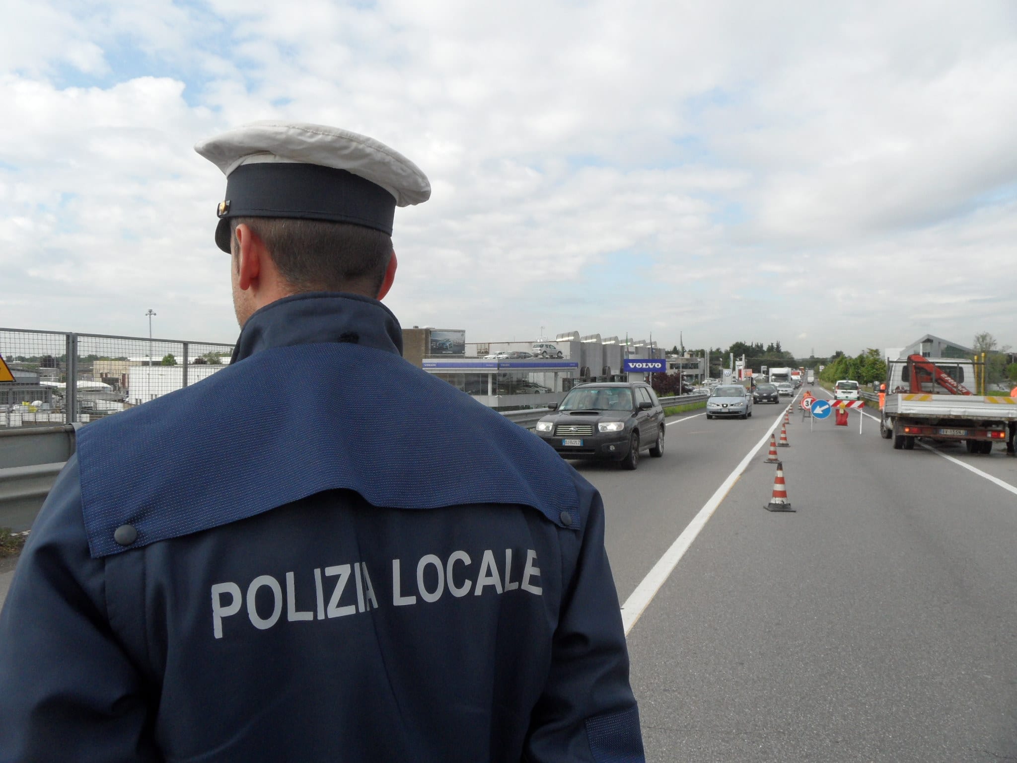 Saronno, topi in viale Lombardia: segnalazione e sopralluogo della polizia locale