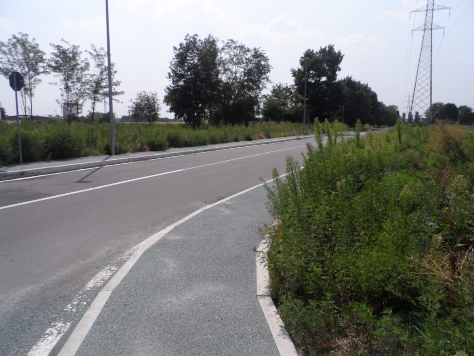 Letto di foglie sull’asfalto, ciclista vola a terra a “Saronno sud”