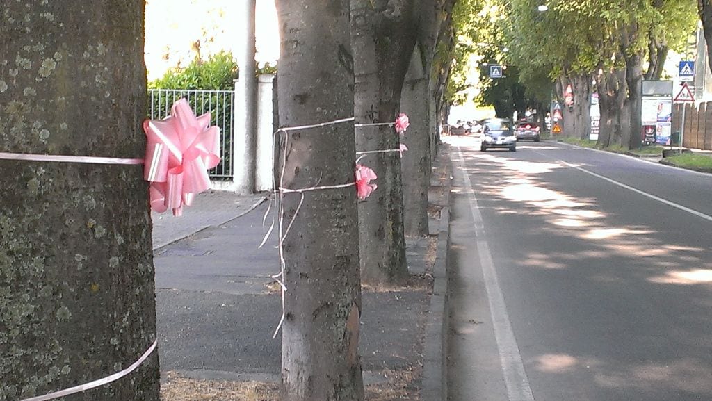 Fiocchi rosa, divieti e una scritta goliardica: Saronno aspetta il Giro