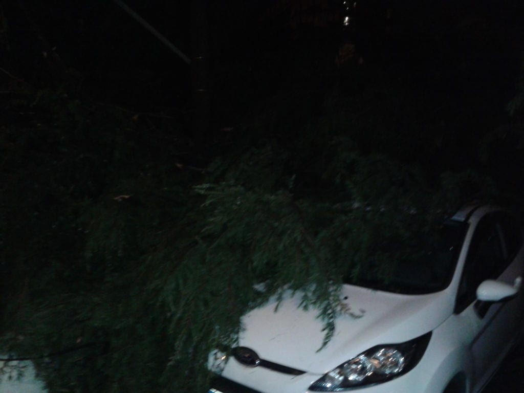 Pioggia, grandine e alberi caduti: notte di tempesta a Saronno