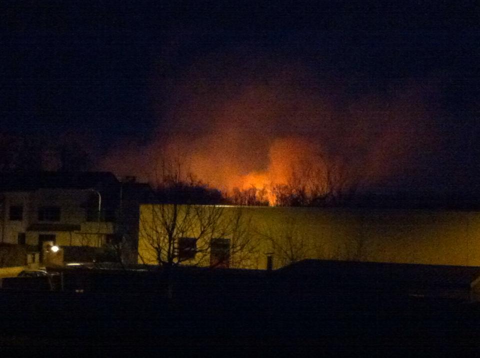 Incendio nel Parco Groane a Cogliate: fiamme visibili da grande distanza