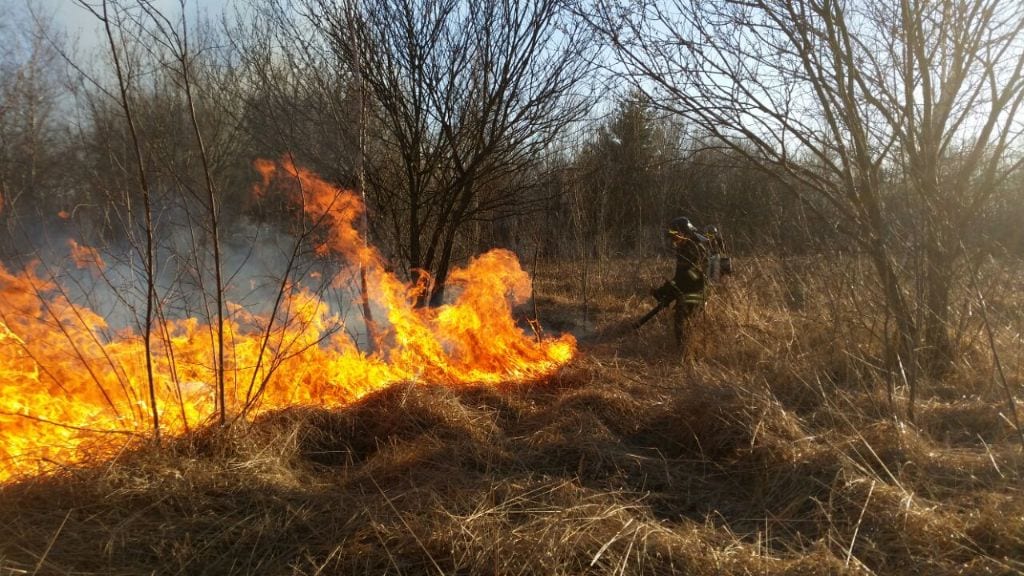 Nuovo incendio nel parco Groane: fiamme a Solaro. Foto e video