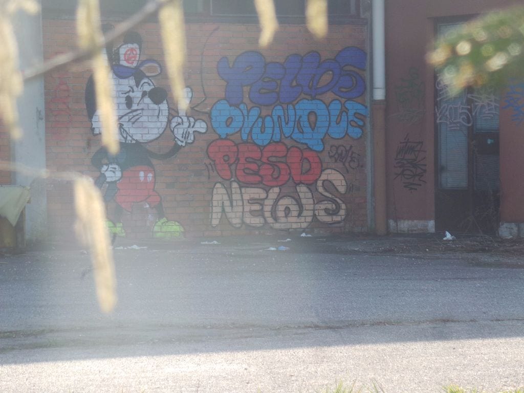 Telos: finita la maxifesta di compleanno… restano i graffiti