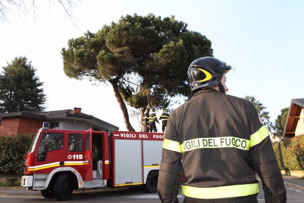 Gatto “prigioniero” all’ex Isotta: lo salvano i pompieri
