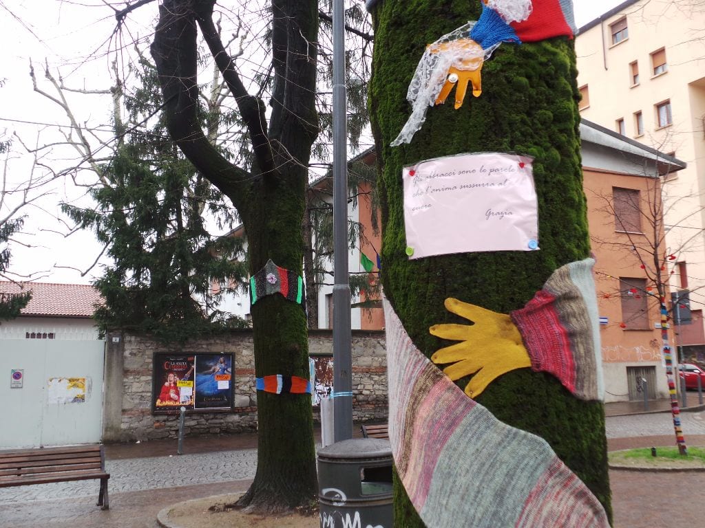 Caldi abbracci per gli alberi in piazza Aviatori d’Italia