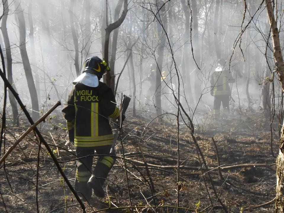 Incendio al parco Pineta: pompieri di Saronno e Tradate al lavoro
