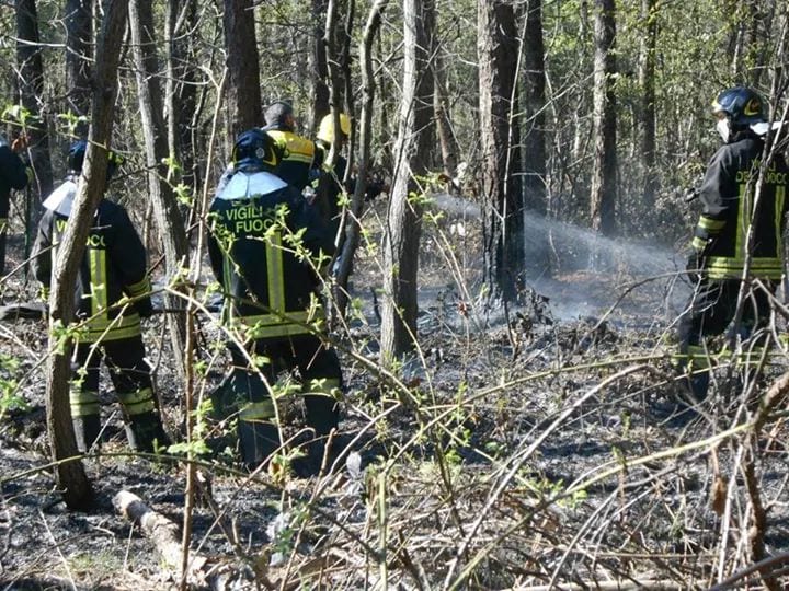 Parco Groane, ripreso l’incendio a Cesate: pompieri di Saronno al lavoro
