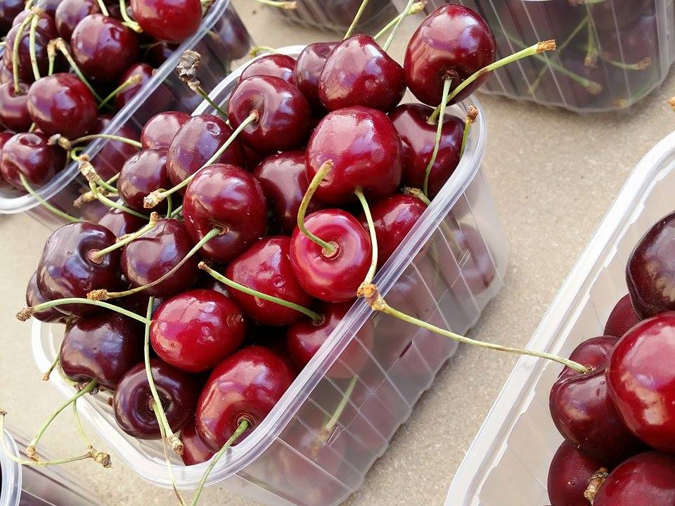 Saronnesi golosi e solidali: Avis vende 400 chili di ciliegie