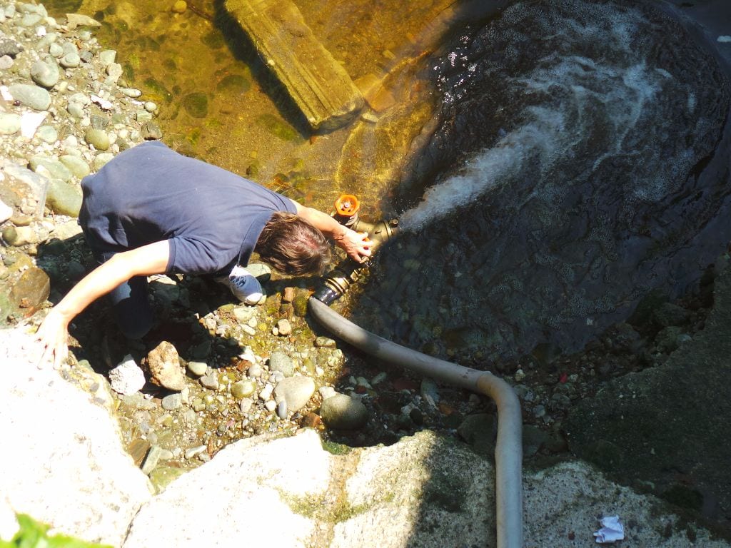 Paleardi e il sindaco Fagioli salvano i pesci dalla secca del Lura