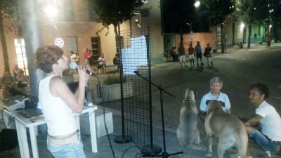 Lezioni canine in piazza a Ceriano Laghetto