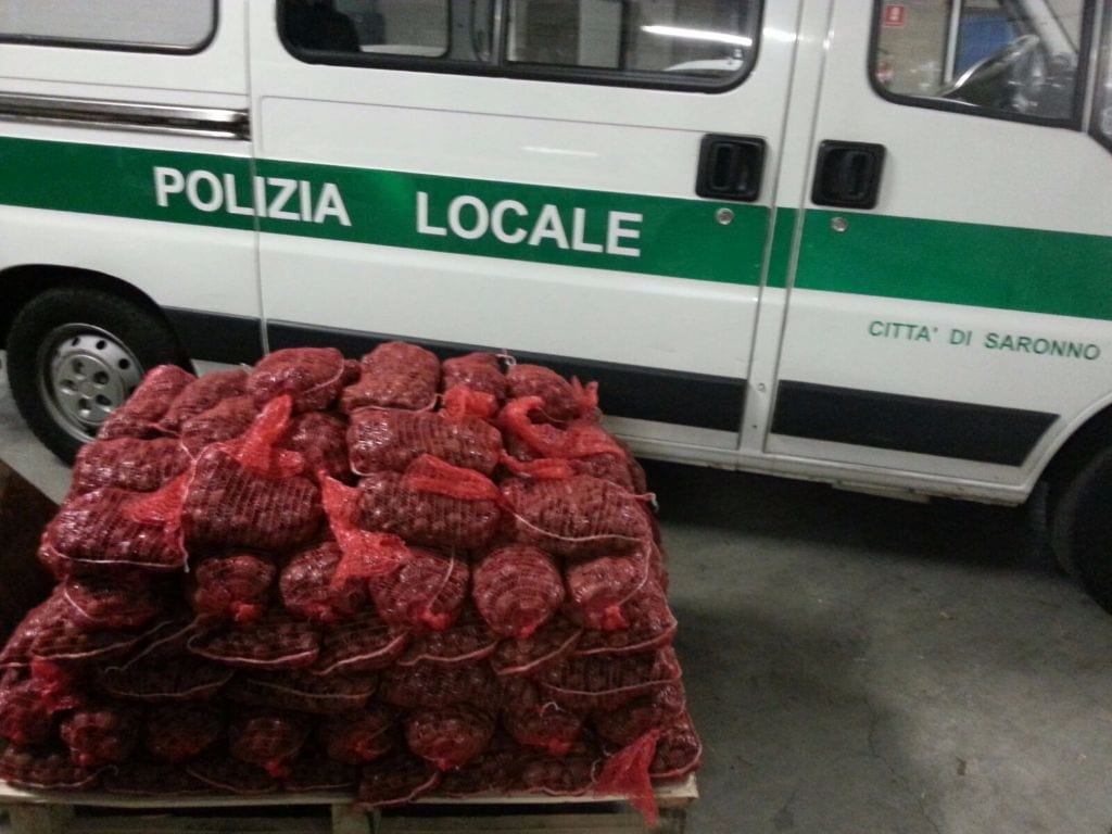 Marroni di Cuneo abusivi: sequestrati altri 290 chili