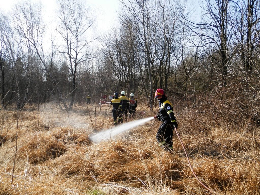 Un video sull’incendio nelle Groane: i danni del fuoco