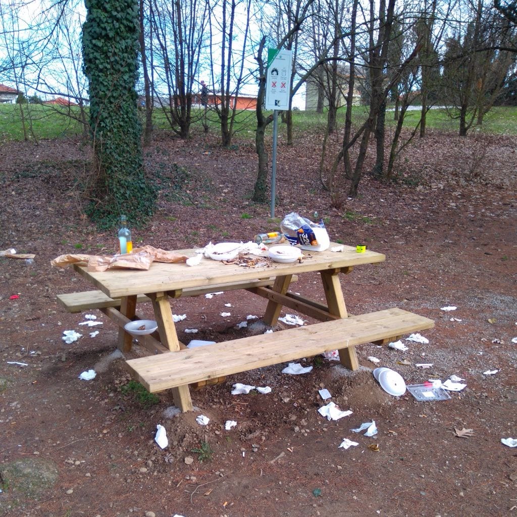 Fanno il barbecue nel parco e lasciano sporcizia