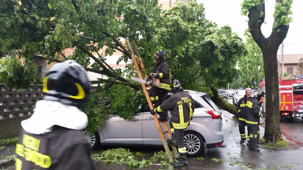 Maltempo: albero precipita su quattro auto