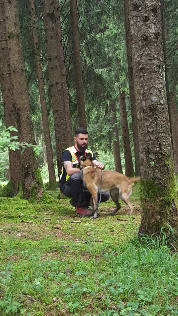 Il saronnese Romanò direttore di campo al mondiale per cani da soccorso