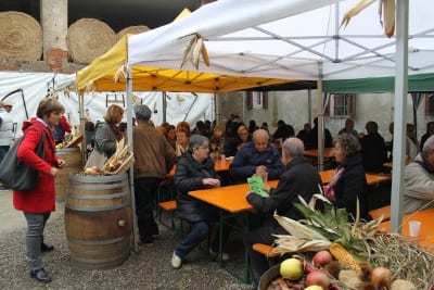 Buon vino e gastronomia: a Ceriano Laghetto la seconda Festa dei cortili