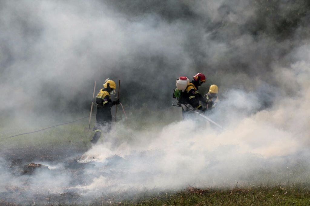 Due i due roghi spenti dai pompieri scatta l’allerta incendi boschivi