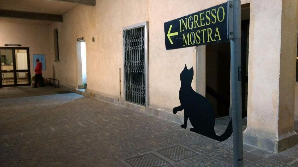 Festa nazionale del gatto a Saronno, serata dedicati ai felini al museo della Ceramica Gianetti