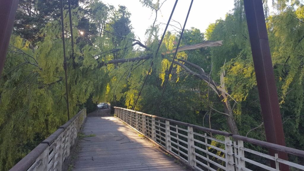 Vento: albero sul ponte strallato, vetrata abbattuta a scuola