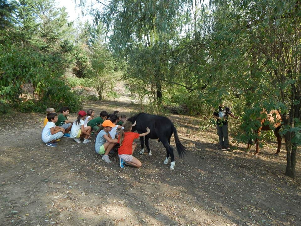 Gerenzano, al Parco degli Aironi i bambini conoscono gli animali della fattoria
