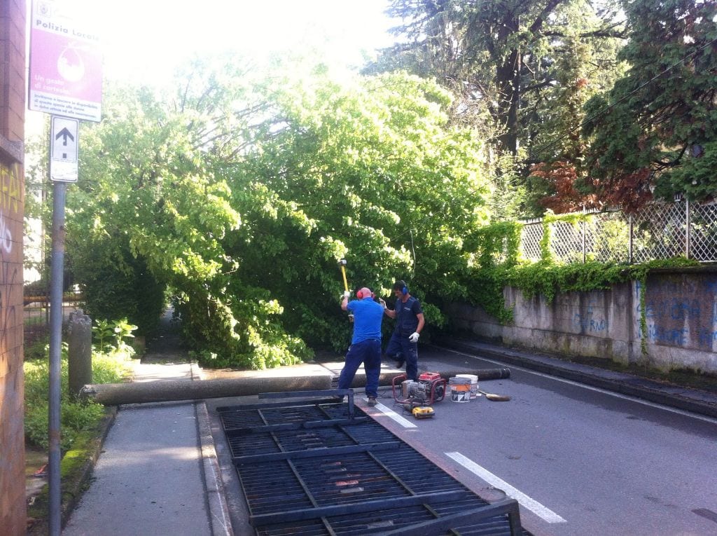 Pianta, palo e recinzione abbattute bloccano via Gianetti