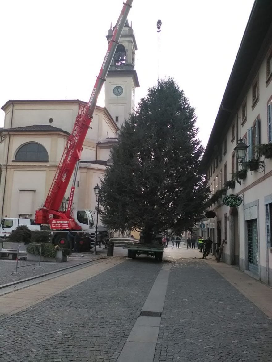 Arriva il grande albero di Natale in centro