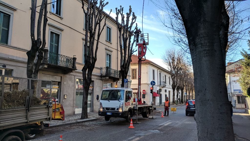Potature in via Parini a Saronno, strada chiusa da oggi