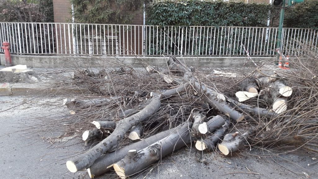 Caos via Roma, Vanzulli: “Gli uffici stanno studiando una soluzione”