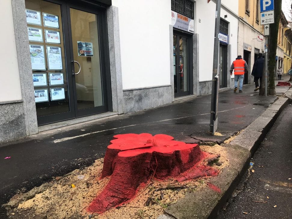 Via Roma, opposizione: “Sospendiamo il taglio dei bagolari fino al consiglio comunale aperto”