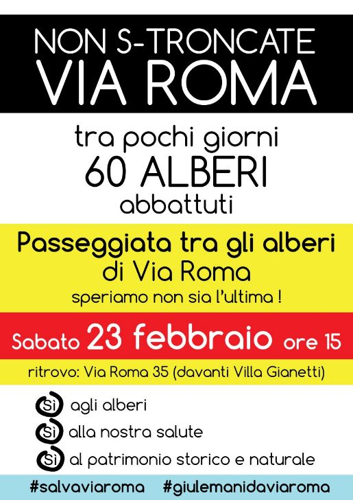 “Non s-troncate via Roma”: domani alle 15 mobilitazione contro gli abbattimenti