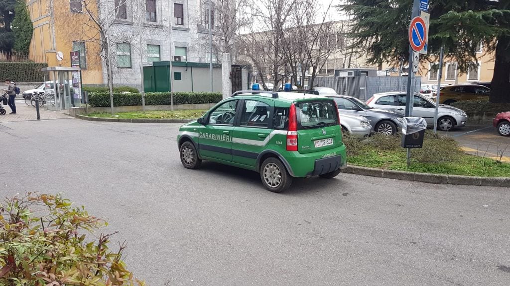 Via Roma: carabinieri forestali in Municipio per avere i documenti