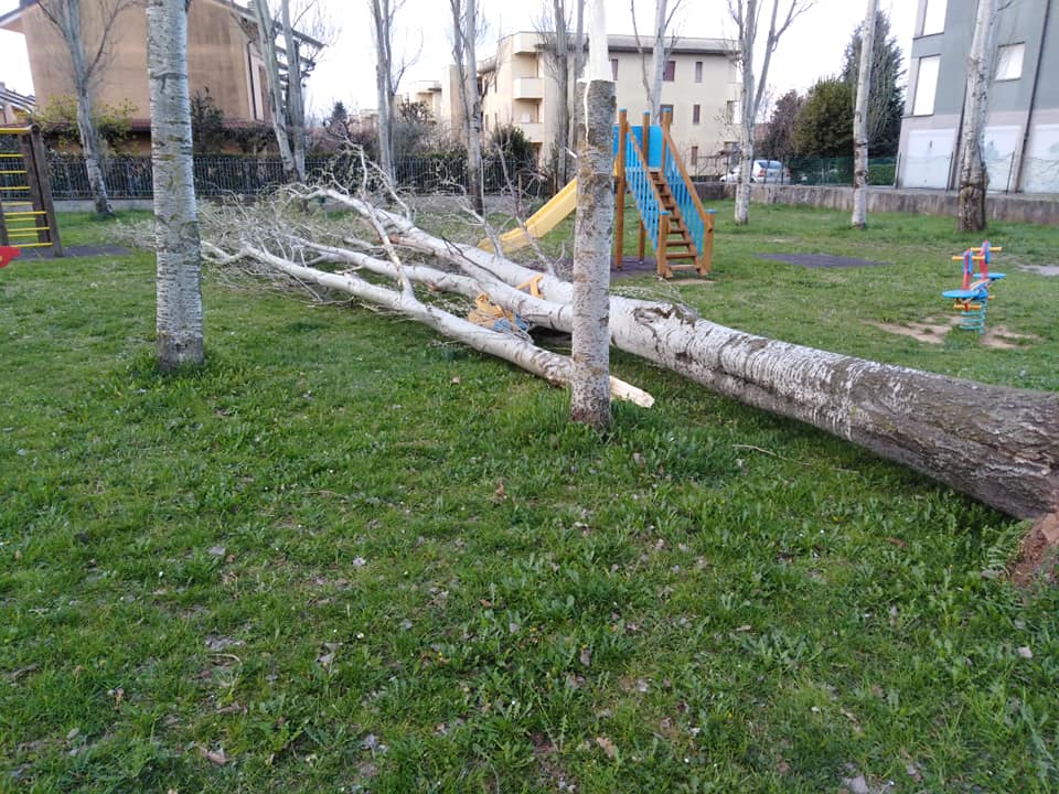 Vento: altri danni a Saronno e nel Saronnese