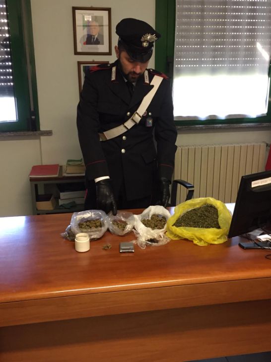 Ladri tentano il furto, carabinieri trovano droga nella cantina del vicino