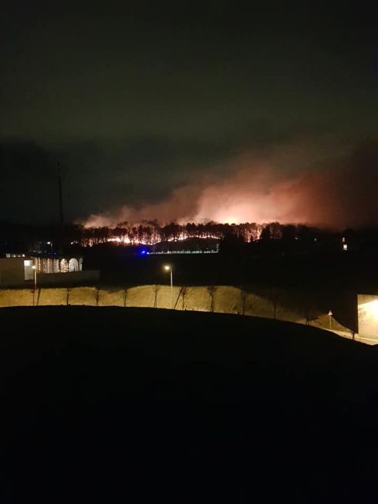 Vento: incendio nei boschi a Pianbosco e ad Abbiate