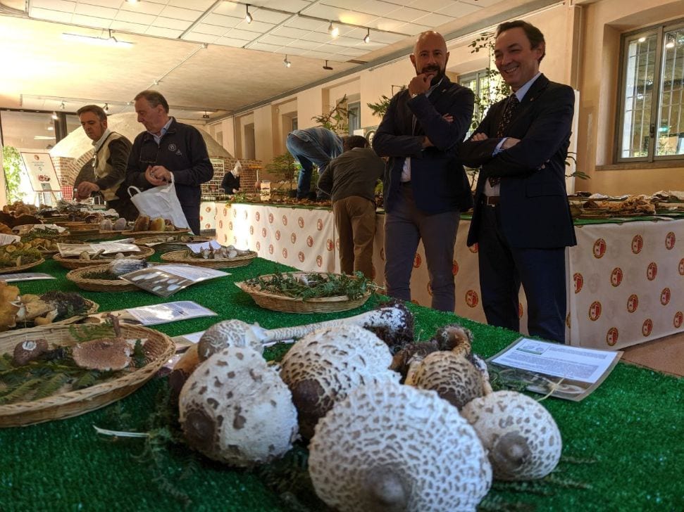 Micologica: funghi da tutto il Nord Italia ma il più fotografato viene dalla Colombara