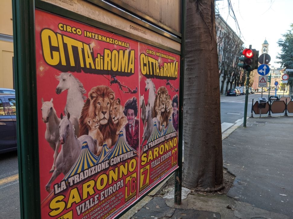 Il Circo di Roma è approdato alla periferia di Saronno