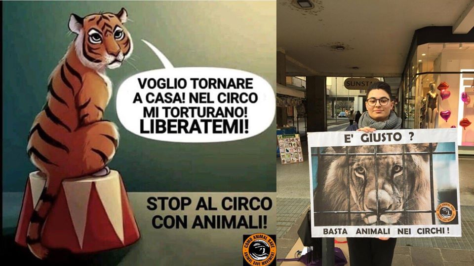 “No al circo di Roma”: gli attivisti di Como save in corso Italia a Saronno