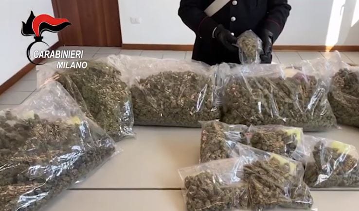 Saronno e Uboldo, maxi sequestro di marijuana (oltre 6 chili): due arresti, uno incastrato da Telegram