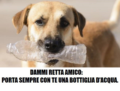 Ceriano Laghetto: “Esci col cane? Porta bottiglietta d’acqua per pulire”