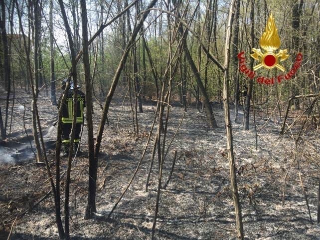 Solaro, incendio nel parco Groane, spento dai vigili del fuoco di Tradate