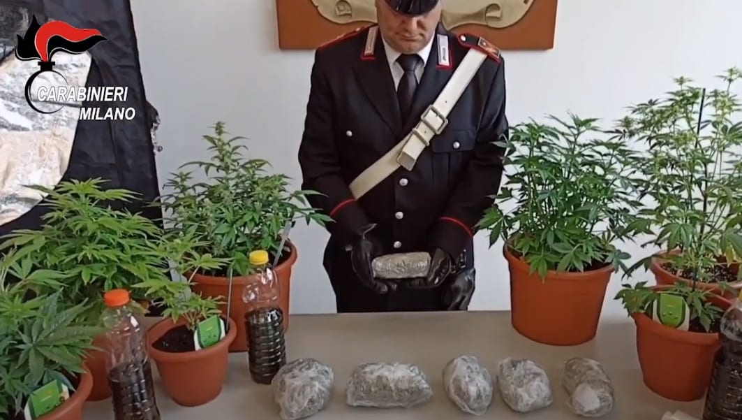 Gerenzano, una serra con 12 piante di marijuana in casa: arrestata una coppia di trentenni