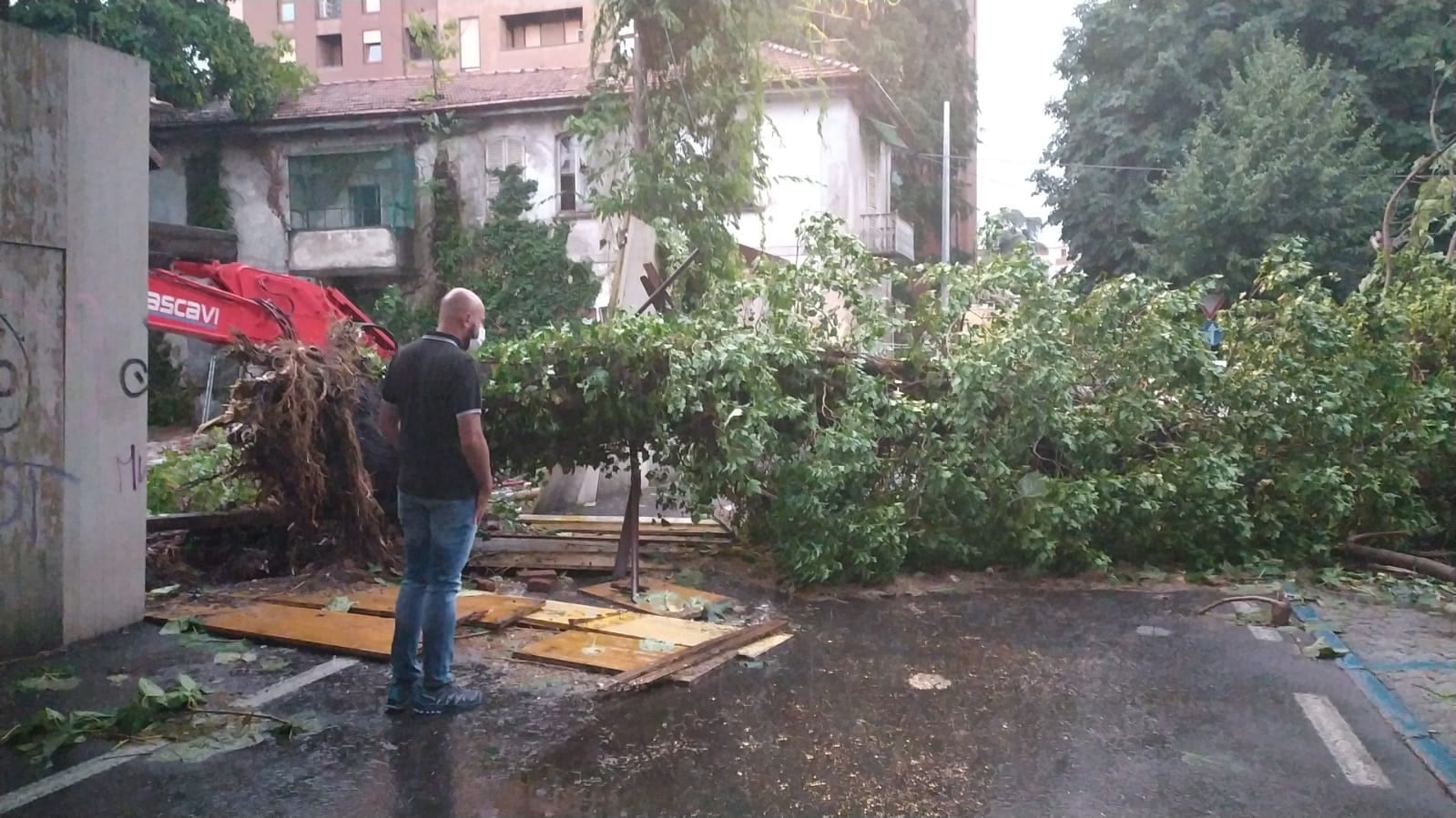 Maltempo, grande albero precipita su via Padre Reina di Saronno: sfondata recinzione