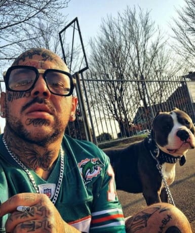 Dal pitbull Tito, ai tatuaggi dal mondo del rap a quello dello spaccio: l’identikit dell’influencer uboldese arrestato