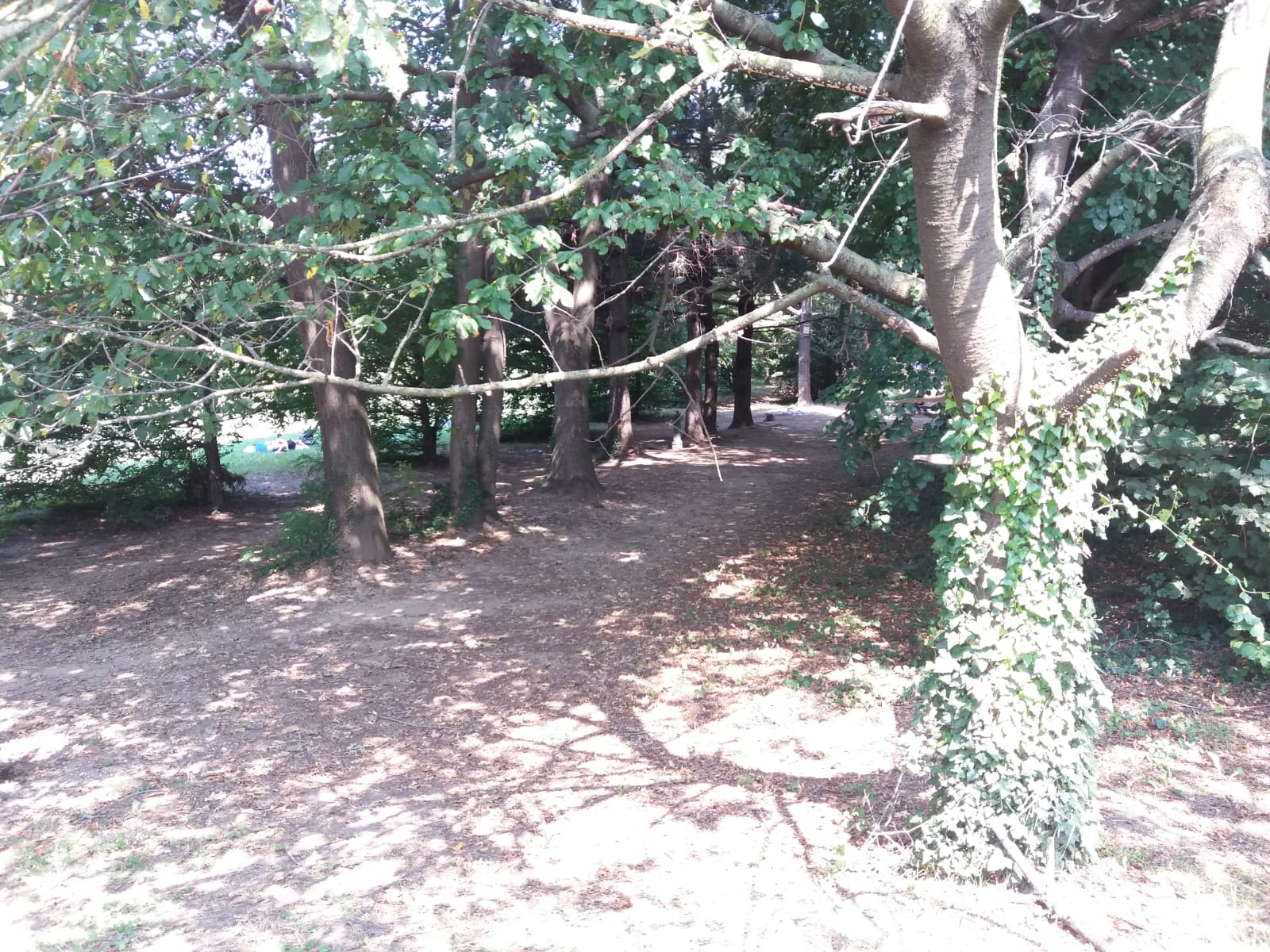 Parco Lura, area pic-nic Fagioli: “Pulizia e controlli vengono eseguiti. C’è una questione di buona educazione”