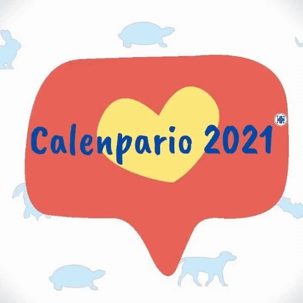 Enpa Saronno: come partecipare al concorso CalEnpario 2021