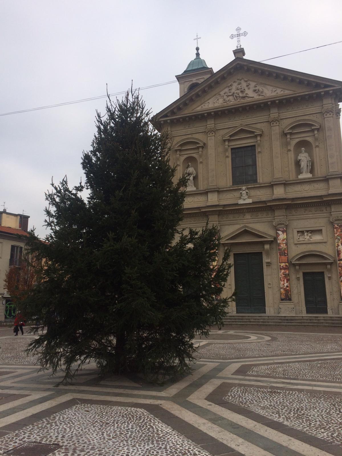 Luminarie: in piazza Libertà è arrivato l’albero di Natale