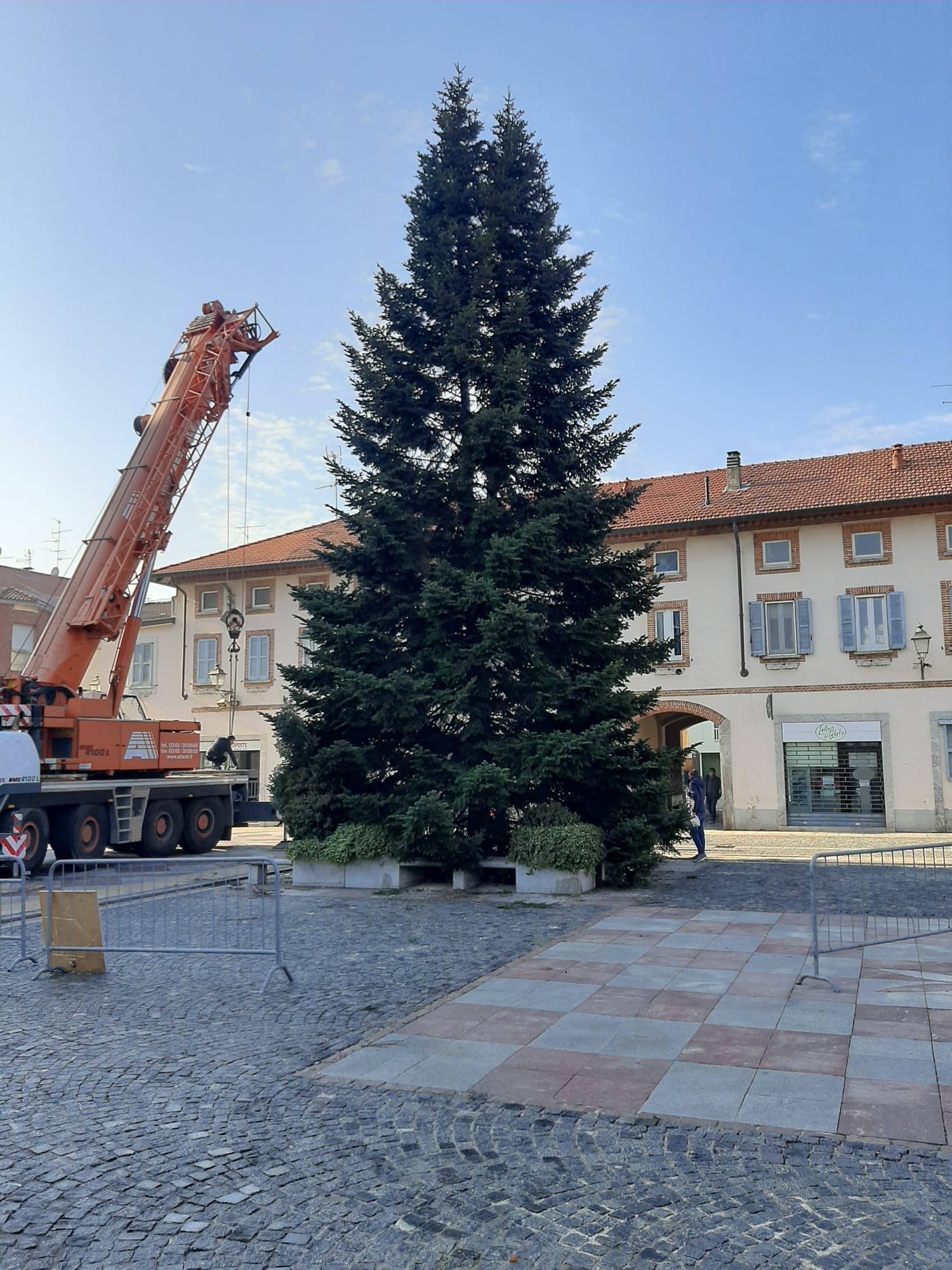 Arriva l’albero in centro a Lazzate, tradizione natalizia rispettata