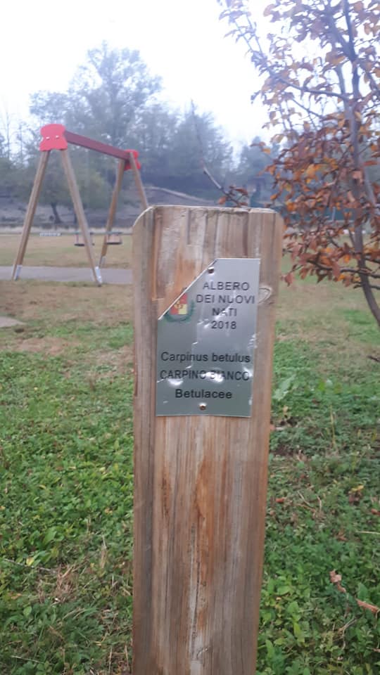 Gerenzano, vandali al Parco Aironi: strappate le targhe dei nuovi nati